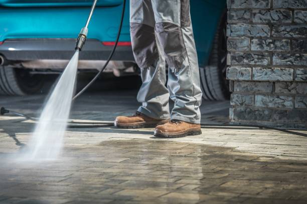 Best Fleet Vehicle Washing  in Southwest Ranches, FL