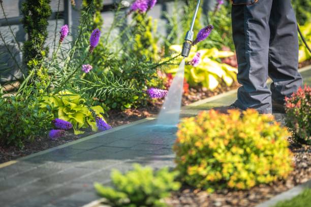 Best Patio and Deck Pressure Washing  in Southwest Ranches, FL