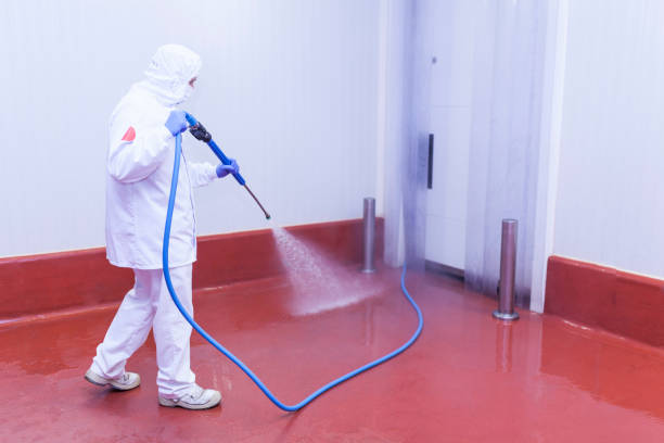 Best Spring Cleaning  in Southwest Ranches, FL